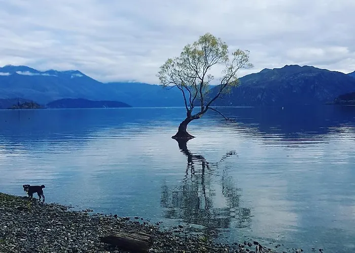 Alto On Hedditch Wanaka
